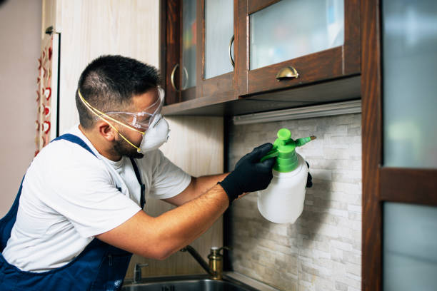 Best Pest Removal Services  in Brentwood, PA