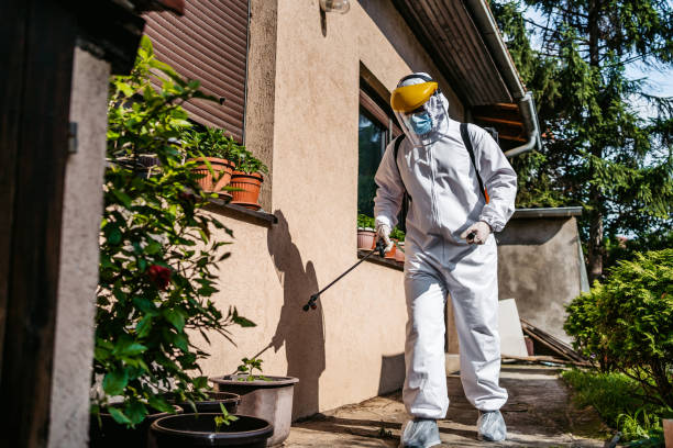 Best Wildlife Control Services  in Brentwood, PA